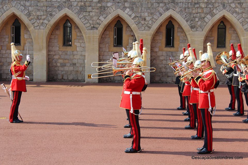 Windsor guards