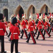 Windsor guards 013 n 1