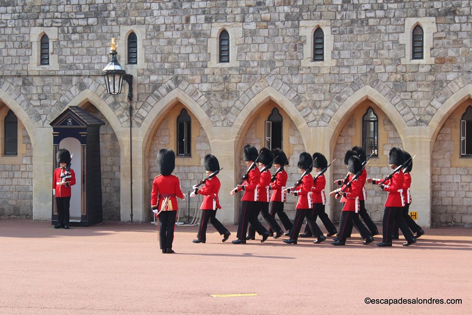 Windsor guards 02