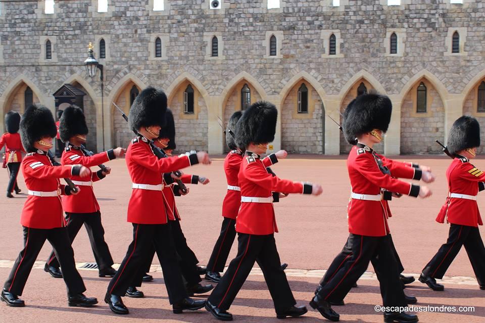 Windsor guards