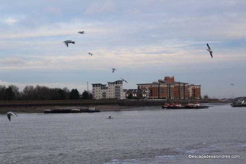 Woolwich Ferry